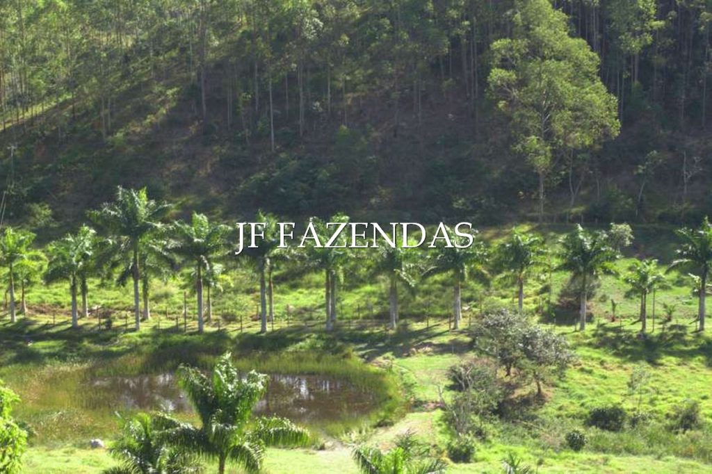 Sitio em Torreões – Juiz de Fora/MG – 80 hectares Sitio em Torreões – Juiz de Fora/MG – 80 hectares
