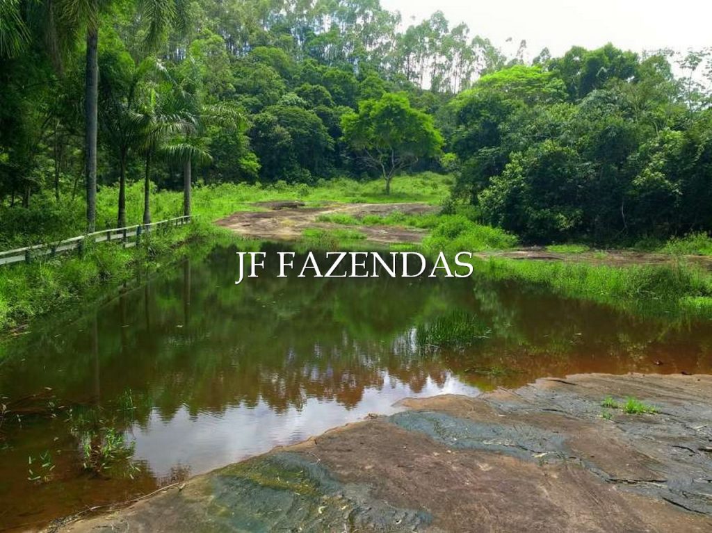 Sitio em Torreões – Juiz de Fora/MG – 80 hectares Sitio em Torreões – Juiz de Fora/MG – 80 hectares