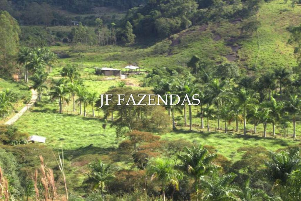 Sitio em Torreões – Juiz de Fora/MG – 80 hectares Sitio em Torreões – Juiz de Fora/MG – 80 hectares