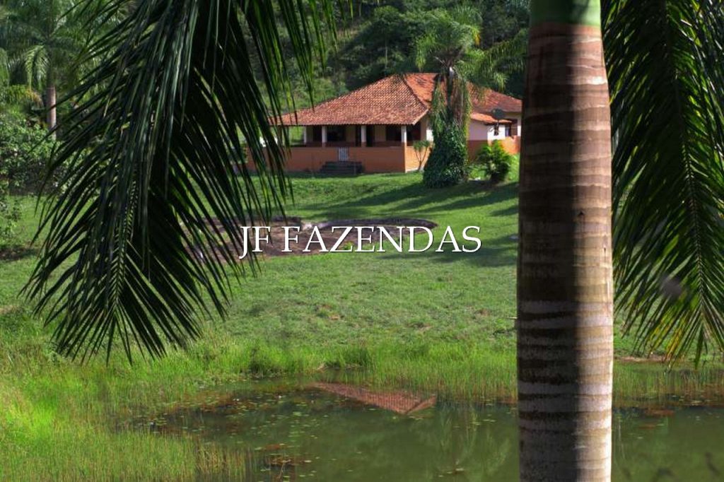 Sitio em Torreões – Juiz de Fora/MG – 80 hectares Sitio em Torreões – Juiz de Fora/MG – 80 hectares