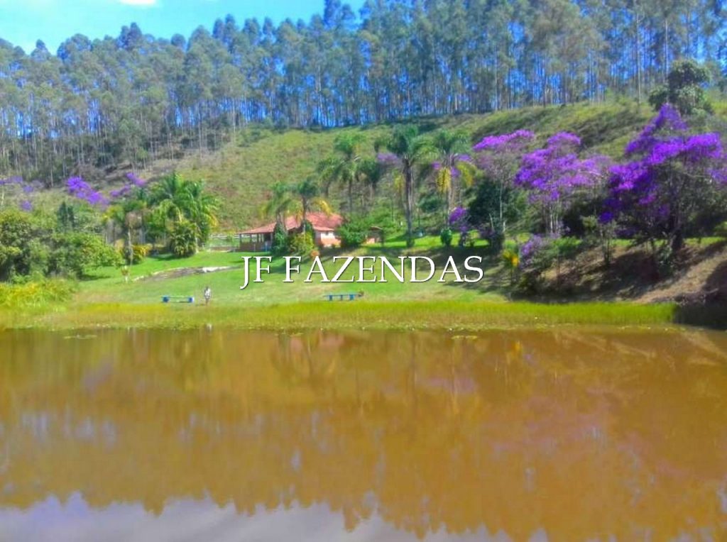 Sitio em Torreões – Juiz de Fora/MG – 80 hectares Sitio em Torreões – Juiz de Fora/MG – 80 hectares