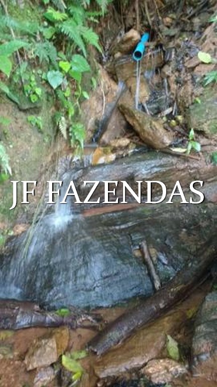 Fazenda em Valença/RJ (Parapeúna)- 360 hectares Fazenda em Valença/RJ (Parapeúna)- 360 hectares