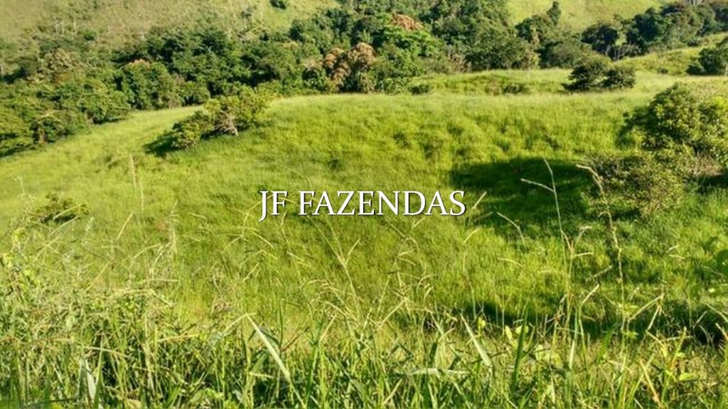 Fazenda em Valença/RJ (Parapeúna)- 360 hectares Fazenda em Valença/RJ (Parapeúna)- 360 hectares