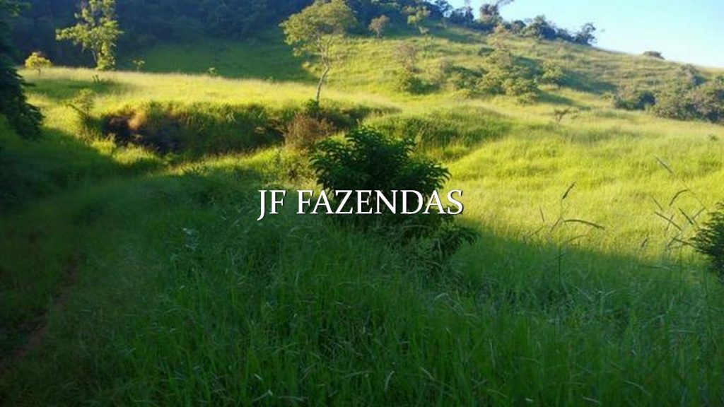 Fazenda em Valença/RJ (Parapeúna)- 360 hectares Fazenda em Valença/RJ (Parapeúna)- 360 hectares