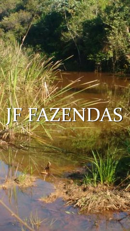 Fazenda em Valença/RJ (Parapeúna)- 360 hectares Fazenda em Valença/RJ (Parapeúna)- 360 hectares