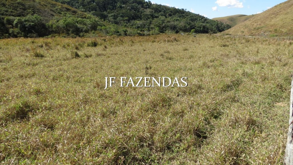 Fazenda em Valença/RJ (Parapeúna)- 360 hectares Fazenda em Valença/RJ (Parapeúna)- 360 hectares