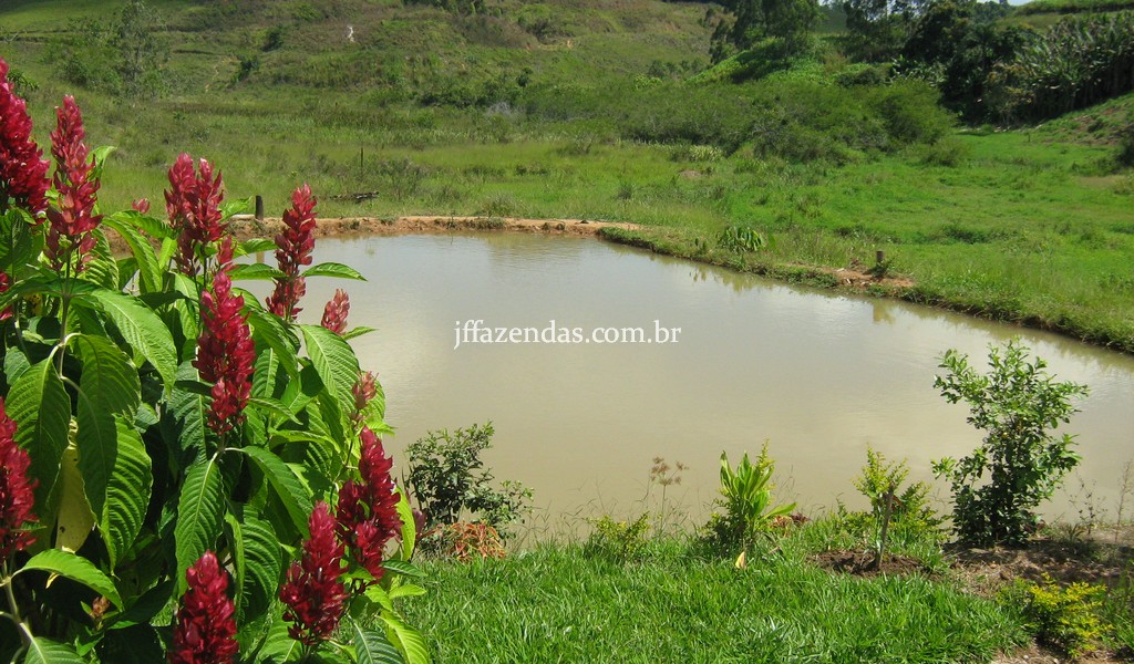Sitio em Chácara/MG – 4,5 hectares Sitio em Chácara/MG – 4,5 hectares