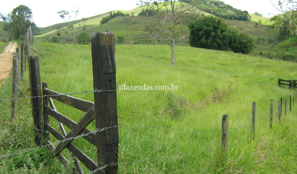 Sitio em Chácara/MG – 4,5 hectares Sitio em Chácara/MG – 4,5 hectares