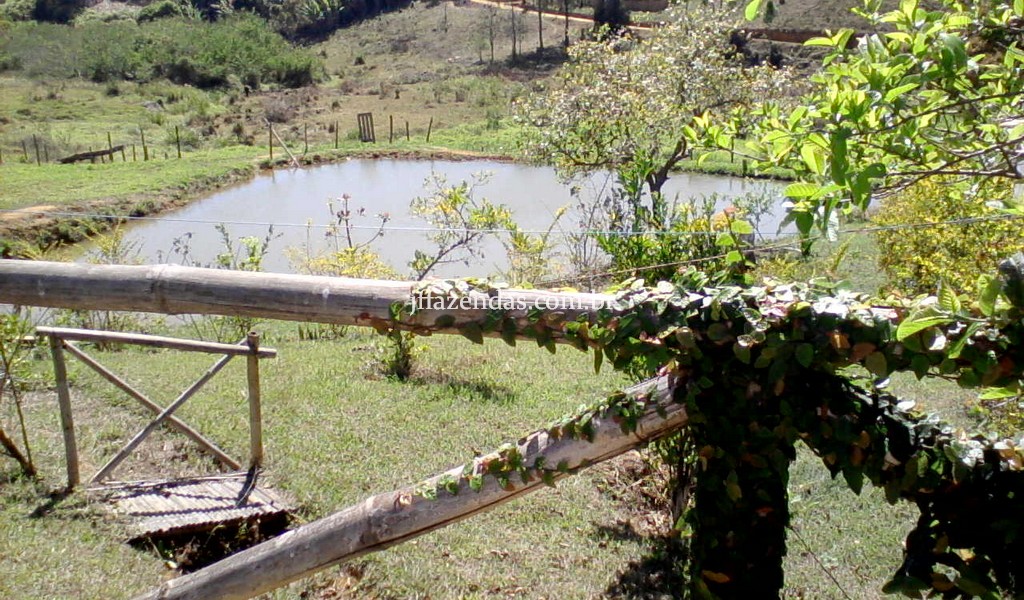 Sitio em Chácara/MG – 4,5 hectares Sitio em Chácara/MG – 4,5 hectares