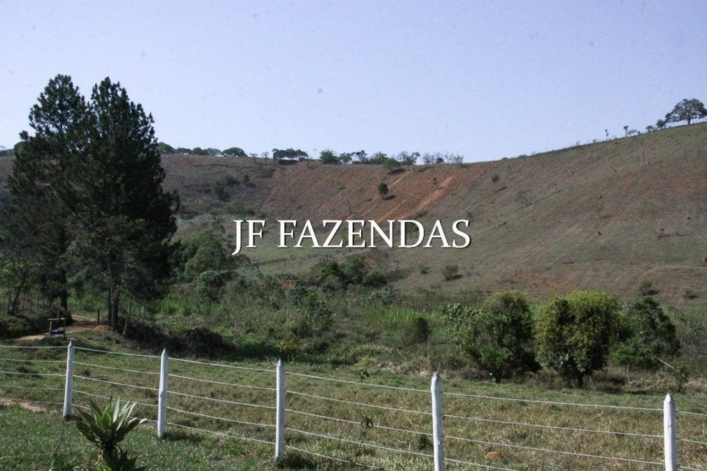 Sitio em Juiz de Fora-MG – 59 hectares Sitio em Juiz de Fora-MG – 59 hectares