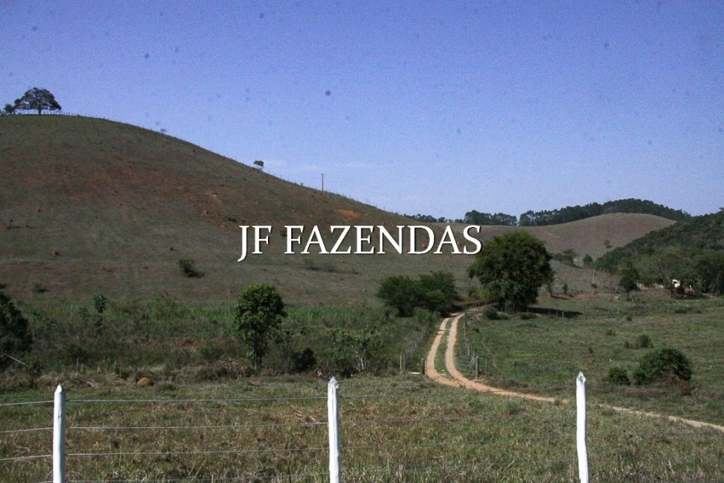 Sitio em Juiz de Fora-MG – 59 hectares Sitio em Juiz de Fora-MG – 59 hectares