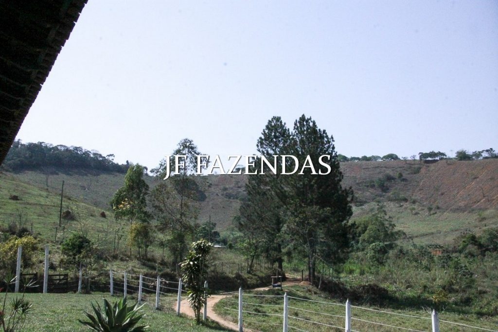 Sitio em Juiz de Fora-MG – 59 hectares Sitio em Juiz de Fora-MG – 59 hectares
