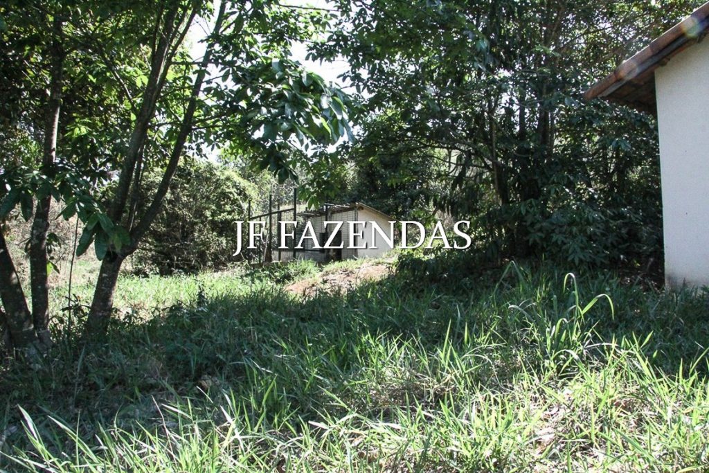 Sitio em Juiz de Fora-MG – 59 hectares Sitio em Juiz de Fora-MG – 59 hectares