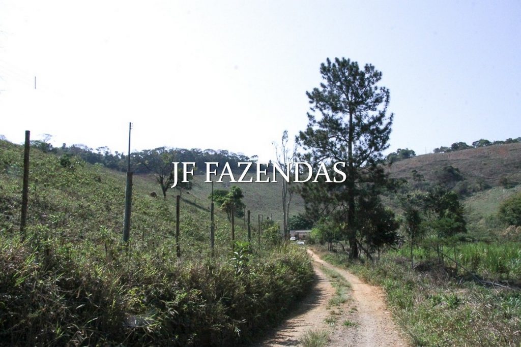 Sitio em Juiz de Fora-MG – 59 hectares Sitio em Juiz de Fora-MG – 59 hectares