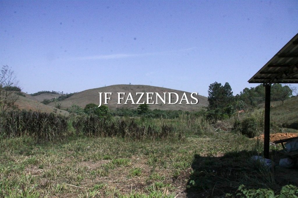 Sitio em Juiz de Fora-MG – 59 hectares Sitio em Juiz de Fora-MG – 59 hectares