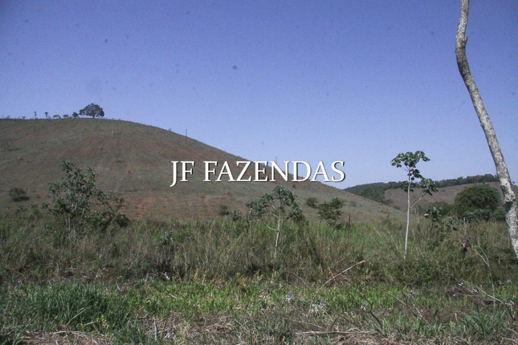 Sitio em Juiz de Fora-MG – 59 hectares Sitio em Juiz de Fora-MG – 59 hectares