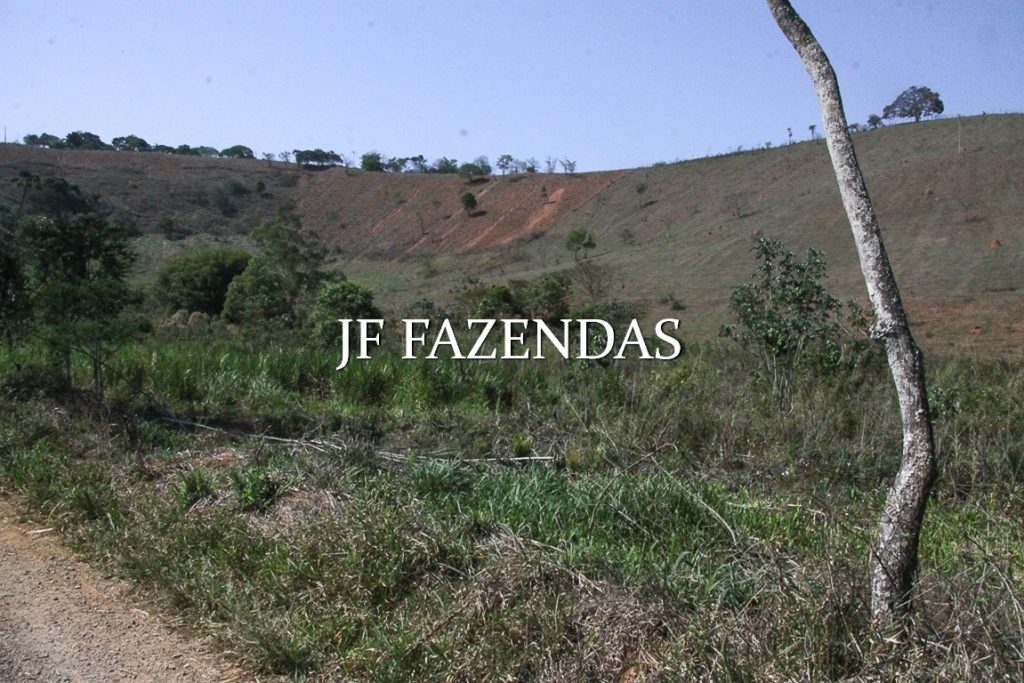 Sitio em Juiz de Fora-MG – 59 hectares Sitio em Juiz de Fora-MG – 59 hectares