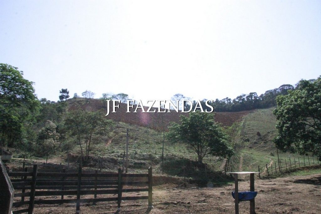 Sitio em Juiz de Fora-MG – 59 hectares Sitio em Juiz de Fora-MG – 59 hectares