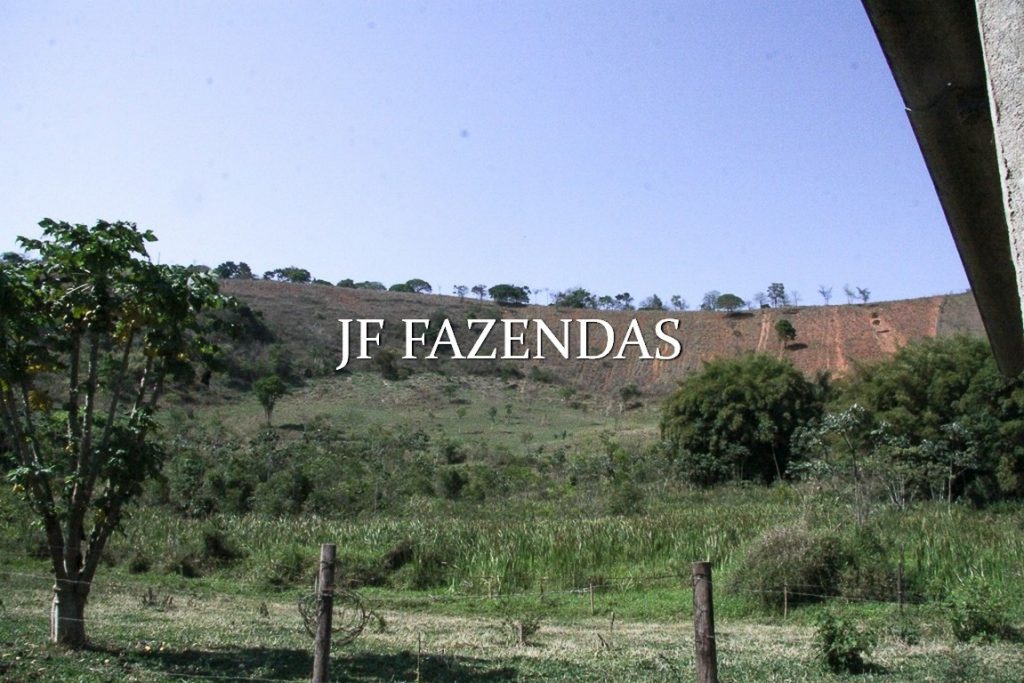 Sitio em Juiz de Fora-MG – 59 hectares Sitio em Juiz de Fora-MG – 59 hectares