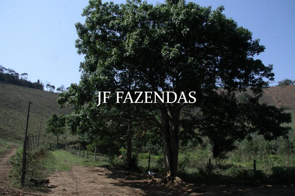 Sitio em Juiz de Fora-MG – 59 hectares Sitio em Juiz de Fora-MG – 59 hectares