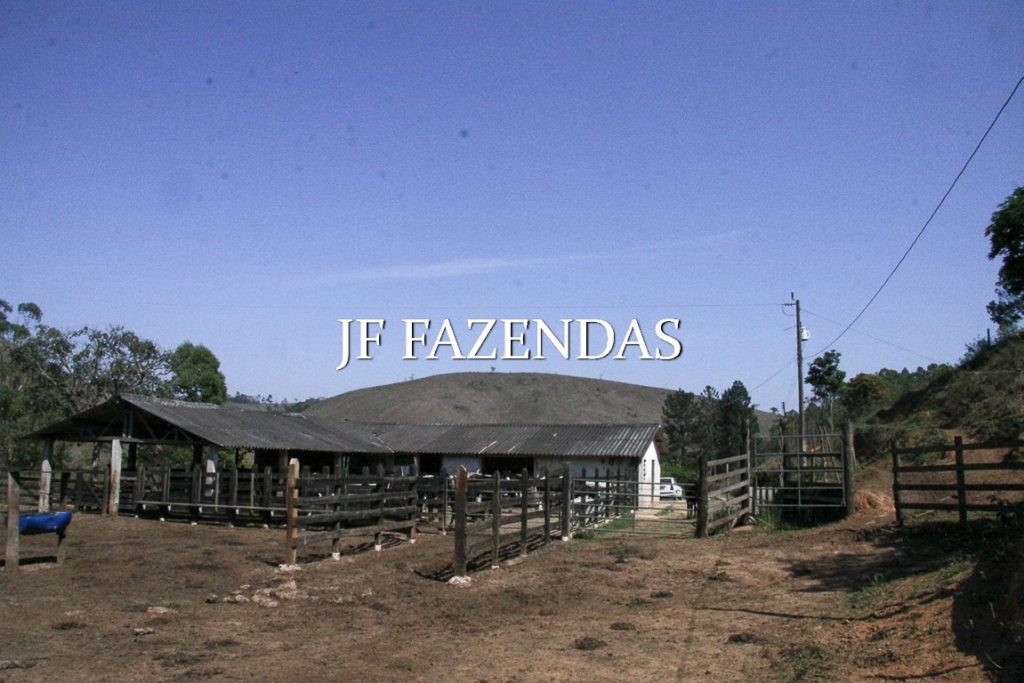 Sitio em Juiz de Fora-MG – 59 hectares Sitio em Juiz de Fora-MG – 59 hectares
