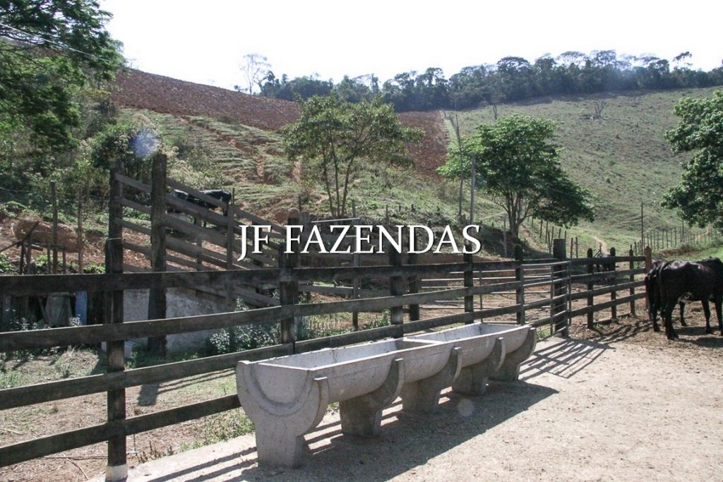 Sitio em Juiz de Fora-MG – 59 hectares Sitio em Juiz de Fora-MG – 59 hectares