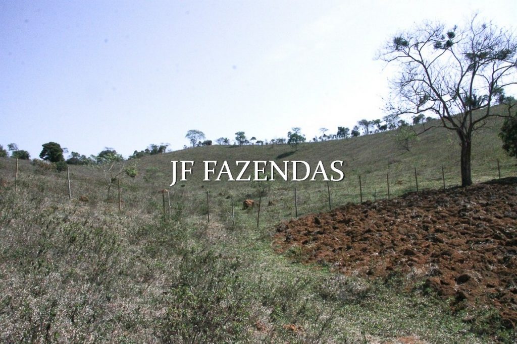 Sitio em Juiz de Fora-MG – 59 hectares Sitio em Juiz de Fora-MG – 59 hectares