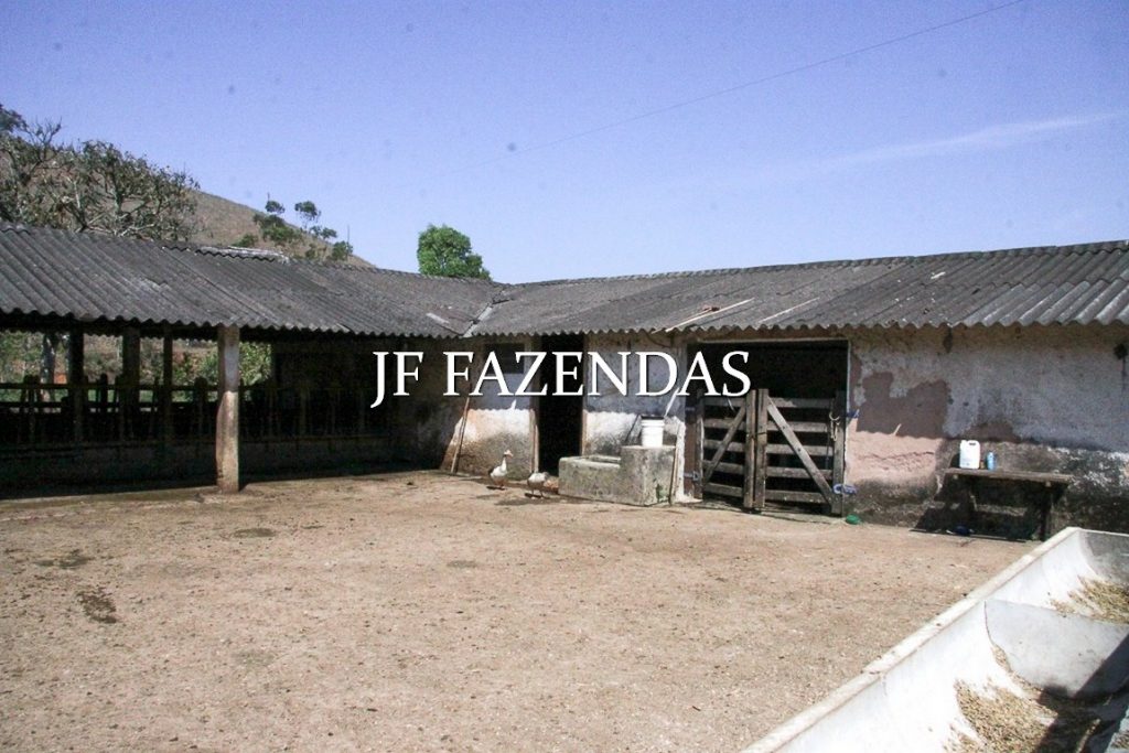 Sitio em Juiz de Fora-MG – 59 hectares Sitio em Juiz de Fora-MG – 59 hectares