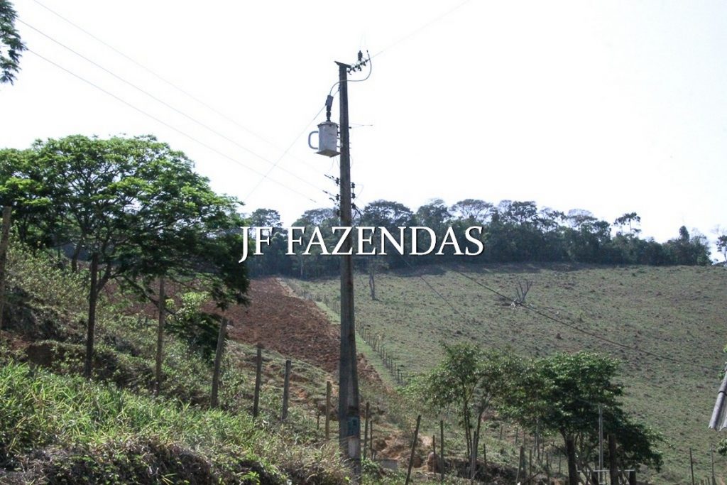 Sitio em Juiz de Fora-MG – 59 hectares Sitio em Juiz de Fora-MG – 59 hectares