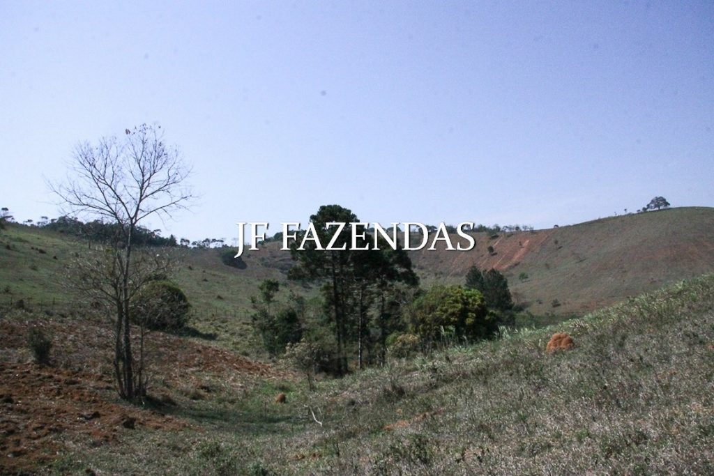 Sitio em Juiz de Fora-MG – 59 hectares Sitio em Juiz de Fora-MG – 59 hectares