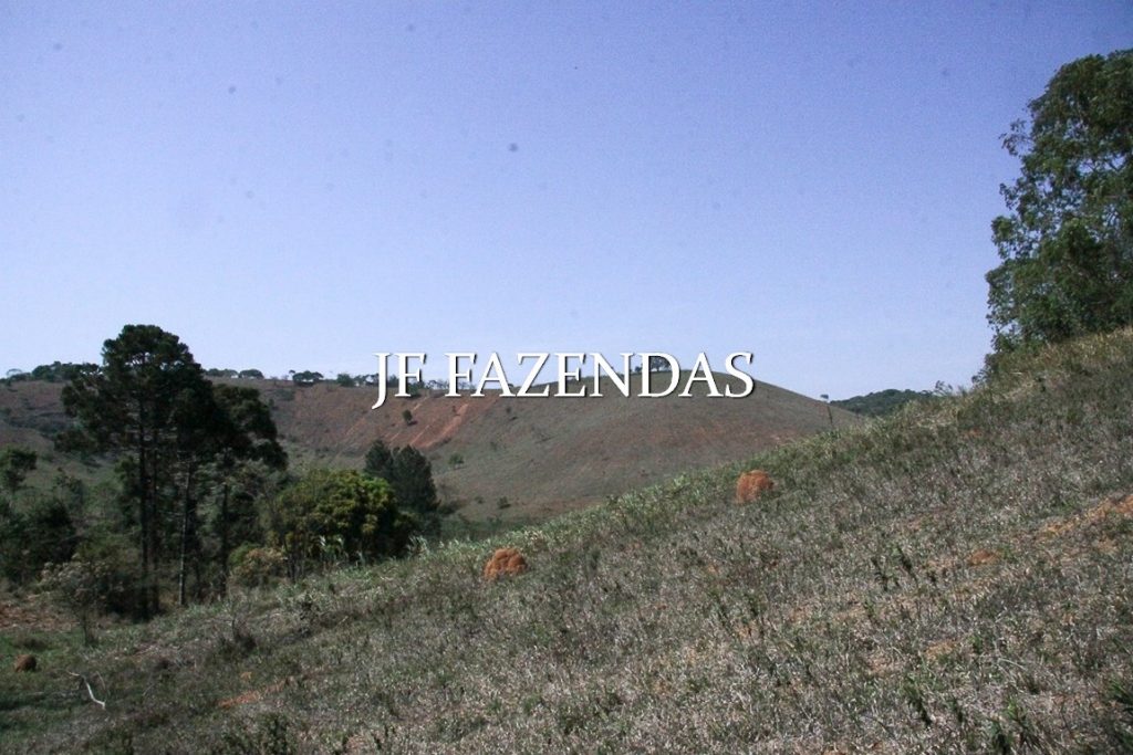 Sitio em Juiz de Fora-MG – 59 hectares Sitio em Juiz de Fora-MG – 59 hectares