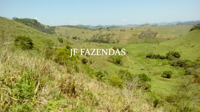 Fazenda em Estrela Dalva MG 836.5895 hectares Fazenda em Estrela Dalva MG 836.5895 hectares