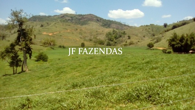 Fazenda em Estrela Dalva MG 836.5895 hectares