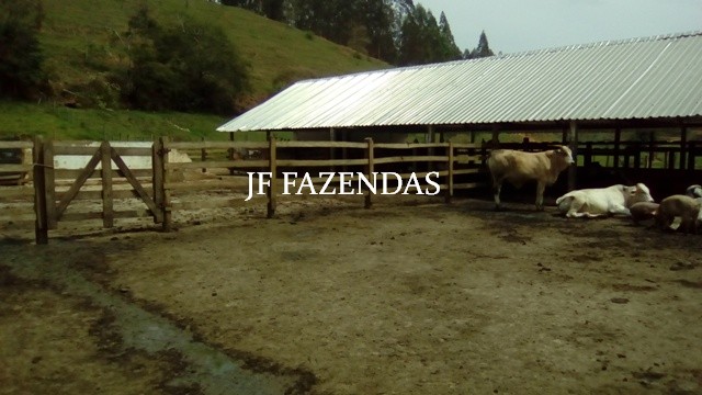 Fazenda em Estrela Dalva MG 836.5895 hectares Fazenda em Estrela Dalva MG 836.5895 hectares