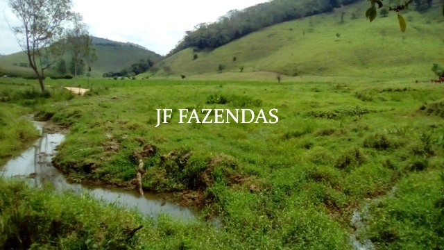 Fazenda em Estrela Dalva MG 836.5895 hectares