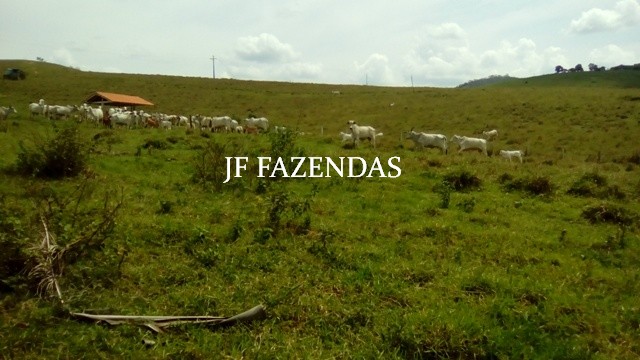 Fazenda em Estrela Dalva MG 836.5895 hectares Fazenda em Estrela Dalva MG 836.5895 hectares