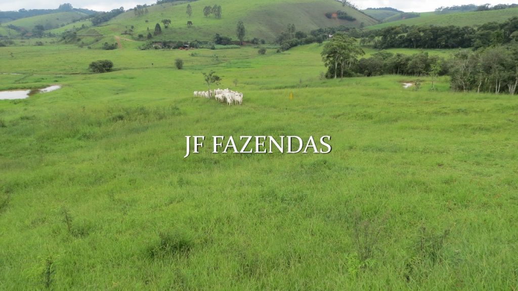 Fazenda em Santos Dumont – 105.01.15 hectares