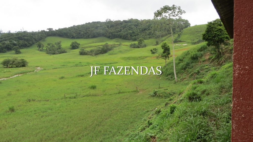 Fazenda em Santos Dumont – 105.01.15 hectares