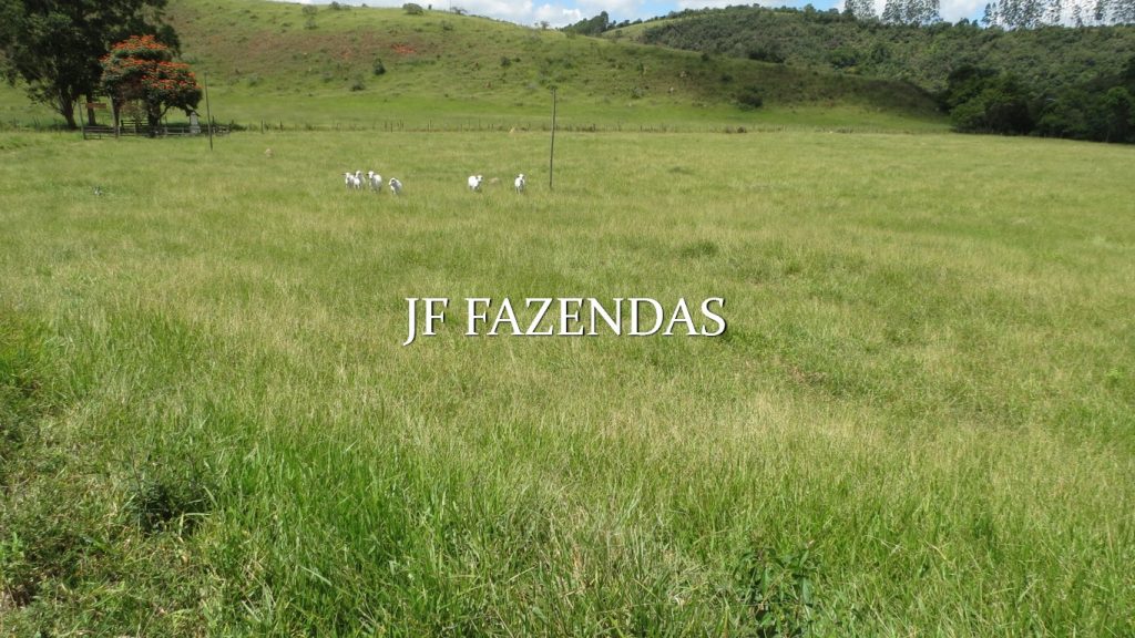 Fazenda em Mercês/MG 300 hectares