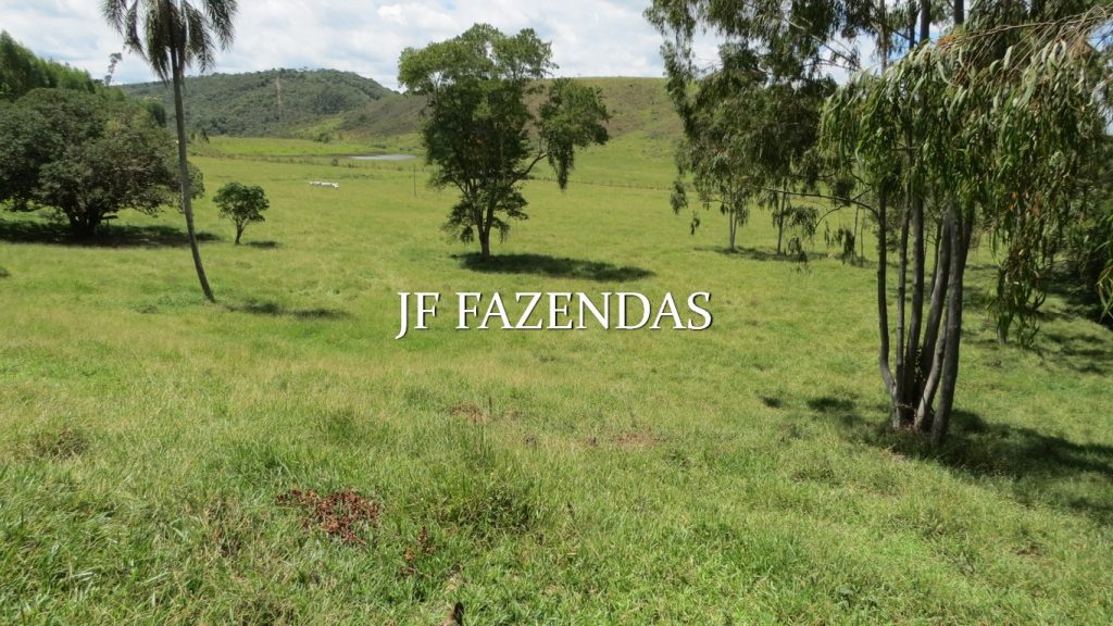 Fazenda em Mercês/MG 300 hectares