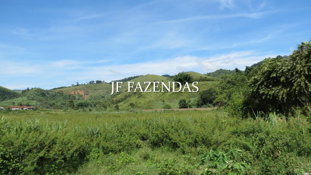 Fazenda em Coronel Pacheco-MG 137 hectares Fazenda em Coronel Pacheco-MG 137 hectares