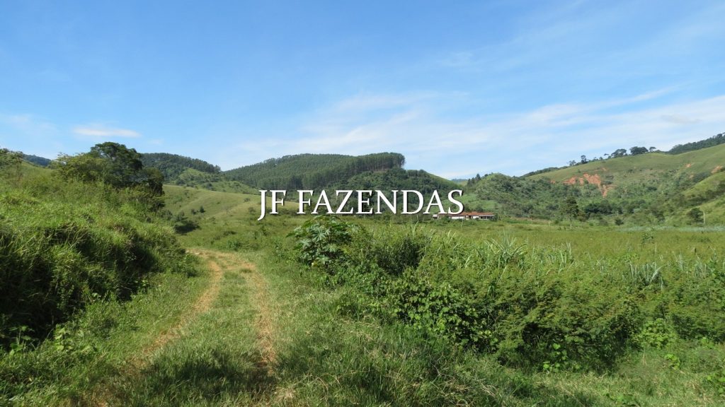 Fazenda em Coronel Pacheco-MG 137 hectares Fazenda em Coronel Pacheco-MG 137 hectares