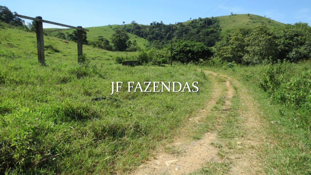 Fazenda em Coronel Pacheco-MG 137 hectares Fazenda em Coronel Pacheco-MG 137 hectares