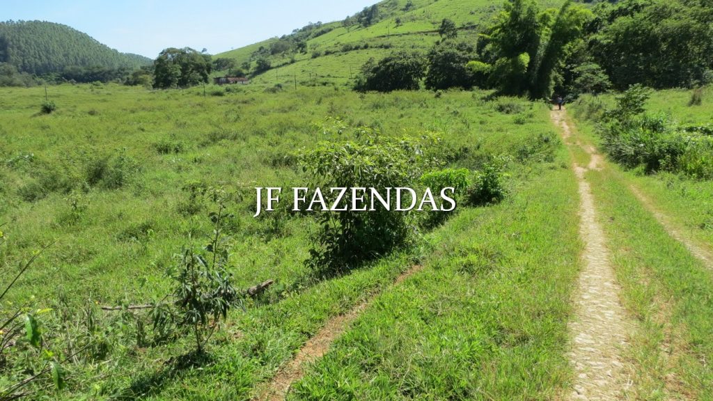 Fazenda em Coronel Pacheco-MG 137 hectares Fazenda em Coronel Pacheco-MG 137 hectares