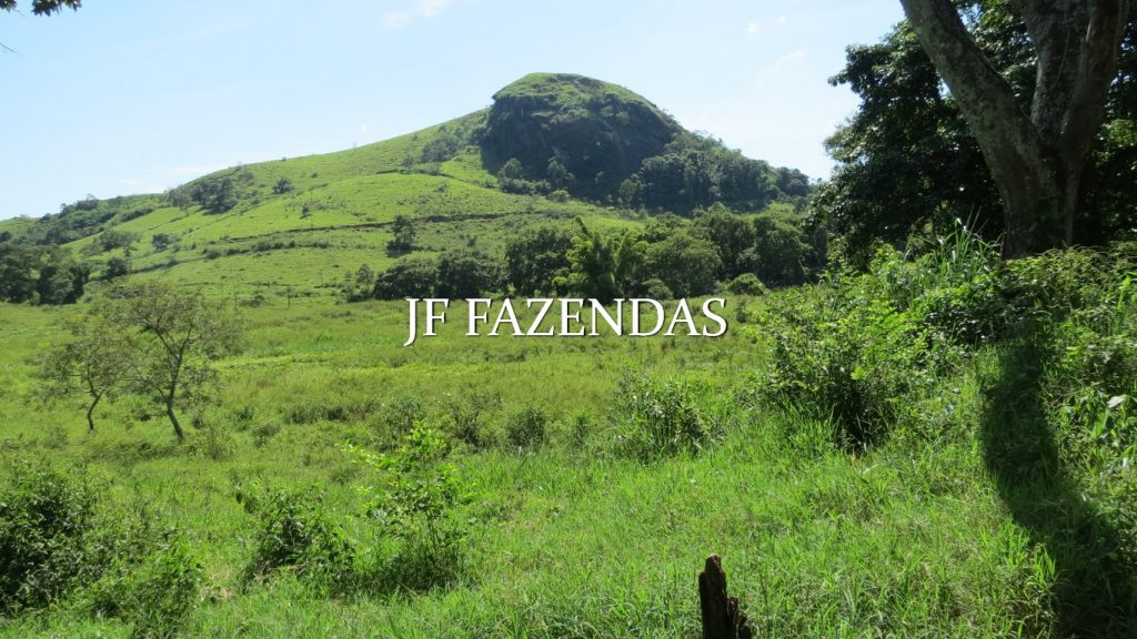 Fazenda em Coronel Pacheco-MG 137 hectares Fazenda em Coronel Pacheco-MG 137 hectares