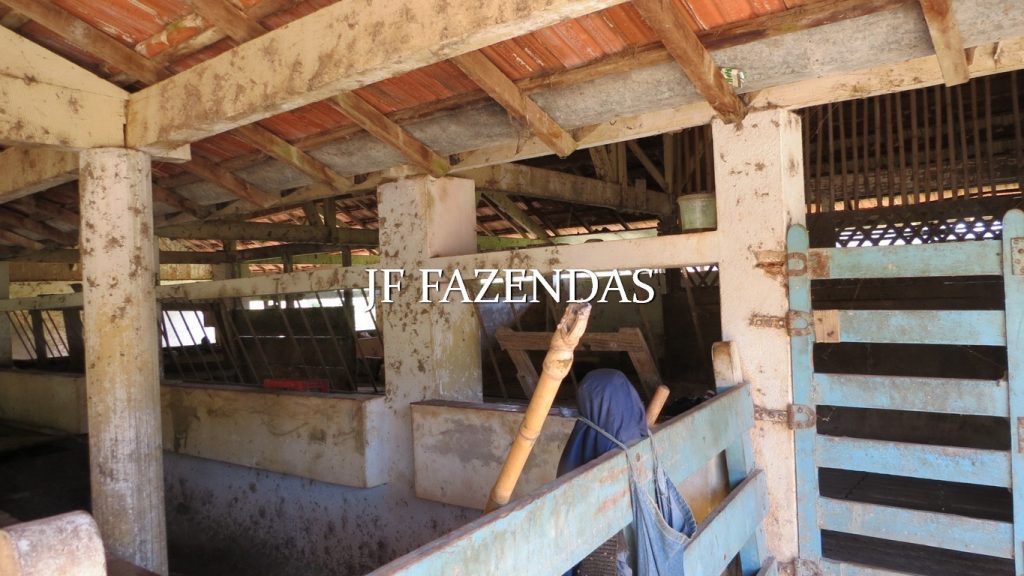 Fazenda em Coronel Pacheco-MG 137 hectares Fazenda em Coronel Pacheco-MG 137 hectares