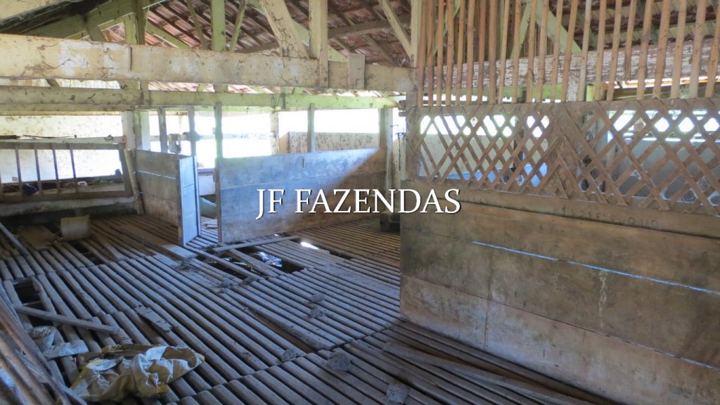 Fazenda em Coronel Pacheco-MG 137 hectares Fazenda em Coronel Pacheco-MG 137 hectares