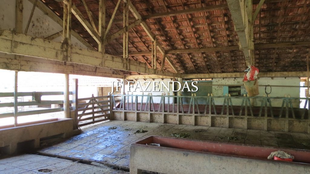Fazenda em Coronel Pacheco-MG 137 hectares Fazenda em Coronel Pacheco-MG 137 hectares