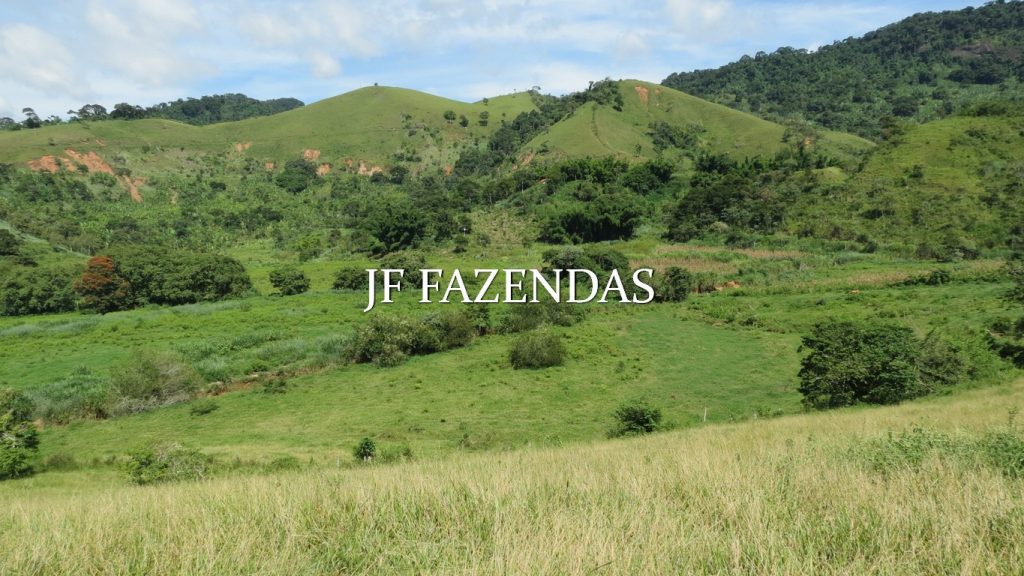 Fazenda em Coronel Pacheco-MG 137 hectares Fazenda em Coronel Pacheco-MG 137 hectares