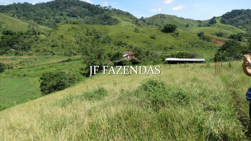 Fazenda em Coronel Pacheco-MG 137 hectares Fazenda em Coronel Pacheco-MG 137 hectares